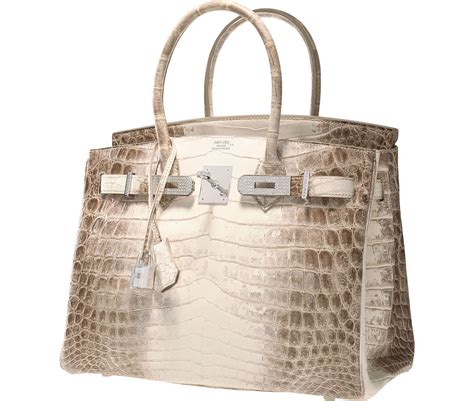 hermes kelly python bag price.